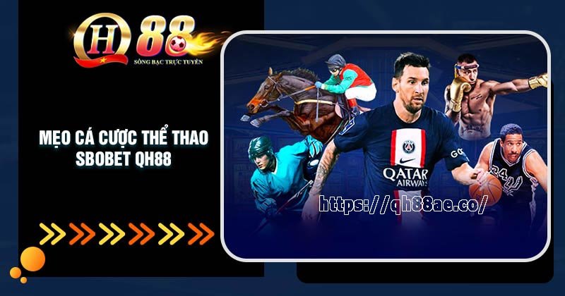 Mẹo cá cược thể thao SBOBet QH88 trăm trận trăm thắng